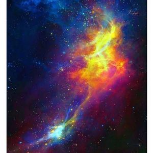 Meet your Posher, Sheree